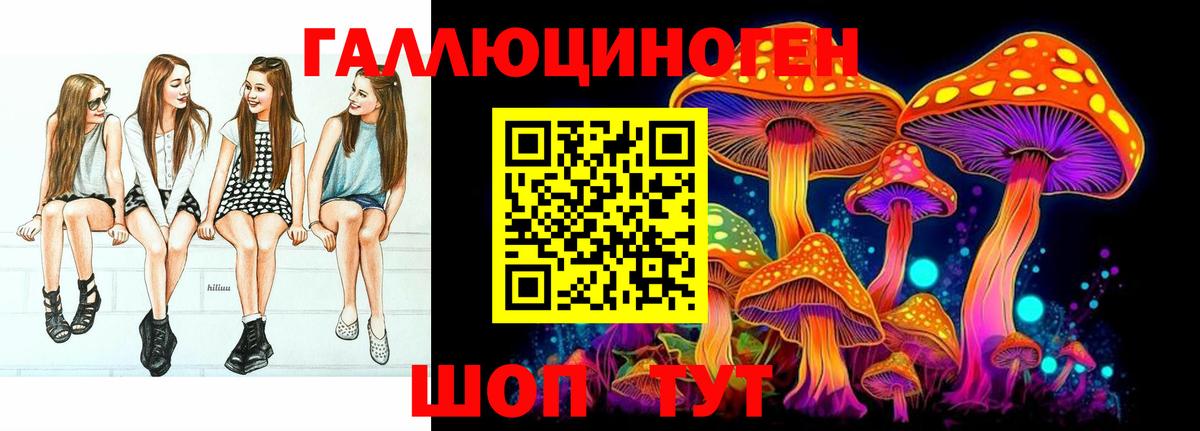 Черногорск  Псилоцибиновые грибы Psilocybe  Вход с VPN  Псилоцибиновые грибы Cubensis 